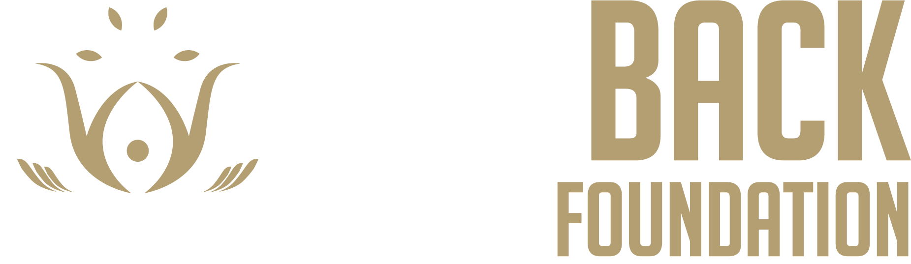 Give Back Foundation